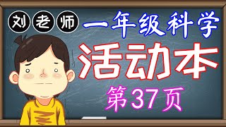 一年级科学活动本答案第37页🍎🍎🍎KSSR SEMAKAN一年级科学活动本答案🍉🍉🍉第6课植物🚀🚀🚀植物的各部分 木质茎 草质茎 会开花 不会开花 主根 须根 网状脉 平行脉🌈🌈🌈一年级科学植物