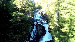 TREE HUGGERS Trailer | WFF16