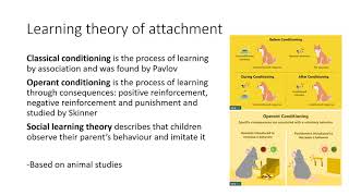 AQA A-LEVEL PSYCHOLOGY: Paper 1 - Attachment