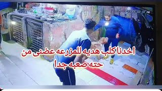 اخد الكلب كان خ-ايف جدا # قولت اشغله شوف حصل ايه