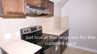 Edmonton Basement suite 10438 166 st for rent September 1, 2016.