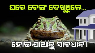 ଘର ଦୁଆର ମୁହଁରେ ବେଙ୍ଗ ଦେଖାଗଲେ କଣ ମିିଳେ ସଙ୍କେତ? ଜାଣନ୍ତୁ ନଚେତ