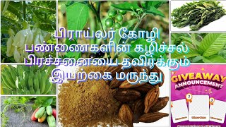 பிராய்லர் கோழி பண்ணைகளின் கழிச்சல் பிரச்சனையை தவிர்க்கும் இயற்கை மருந்து #broiler