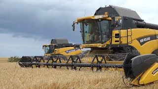 New Holland CX880 \u0026 CR9080 combines in the field harvesting winter barley | Harvest 2020 | DK Agri