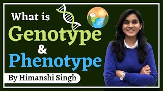 What is Genotype and Phenotype ? explained by Himanshi Singh