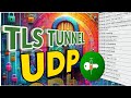 How to setup TLS Tunnel for Fast UDP server