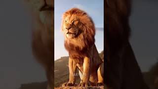 Animal Love | Animal Lover | Animal Lover whatsapp status  #shorts #animallove #africa