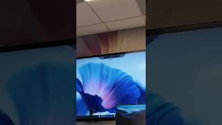 HP Imagine: HP IQ Demo