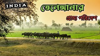 দেখুন তেলেঙ্গানার গ্রাম্য জীবন। village life of Telangana (gaddapotharam, Hyderabad)