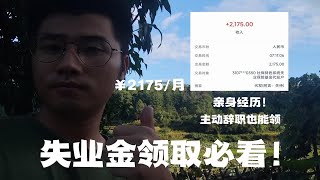 主动离职也能领取失业金！等哪天存款花完就停更出去打工