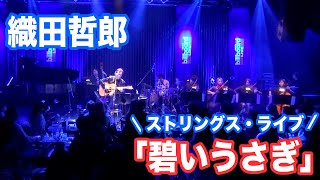 #碧いうさぎ　ストリングスライブ #幻奏夜Ⅶ 【オダテツ3分トーキング】#織田哲郎Youtube