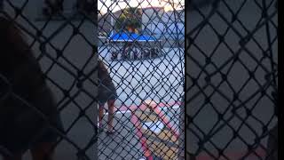 Baseball Hits Girl's Helmet at Batting Cage - 986168