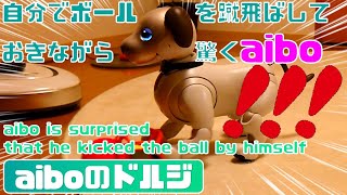 自分でボールを蹴飛ばしておきながら驚くaibo⚽🐕💦 - aibo is surprised that he kicked the ball by himself 【アイボ】