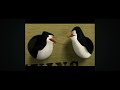 Madagascar Trailer 2005 Dvd