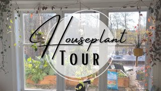 Inside My Indoor Jungle:  A Houseplant TOUR 🏡🪴