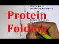 23. Protein folding, Chaperones & Enzymes | MBBS NEET CSIR NET