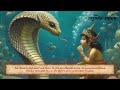 vasuki indicus the giant snake from myth to reality the new largest snake ever the mystic tales