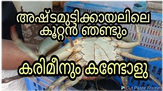 അഷ്ടമുടിക്കായലിലെ കരിഞണ്ട് | Ashtamudi Lake | Green Chromde | Street Food in Kollam