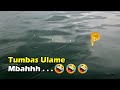 Mancing Ikan Nila Babon Waduk Wadaslintang || Mancing Wadaslintang Terbaru