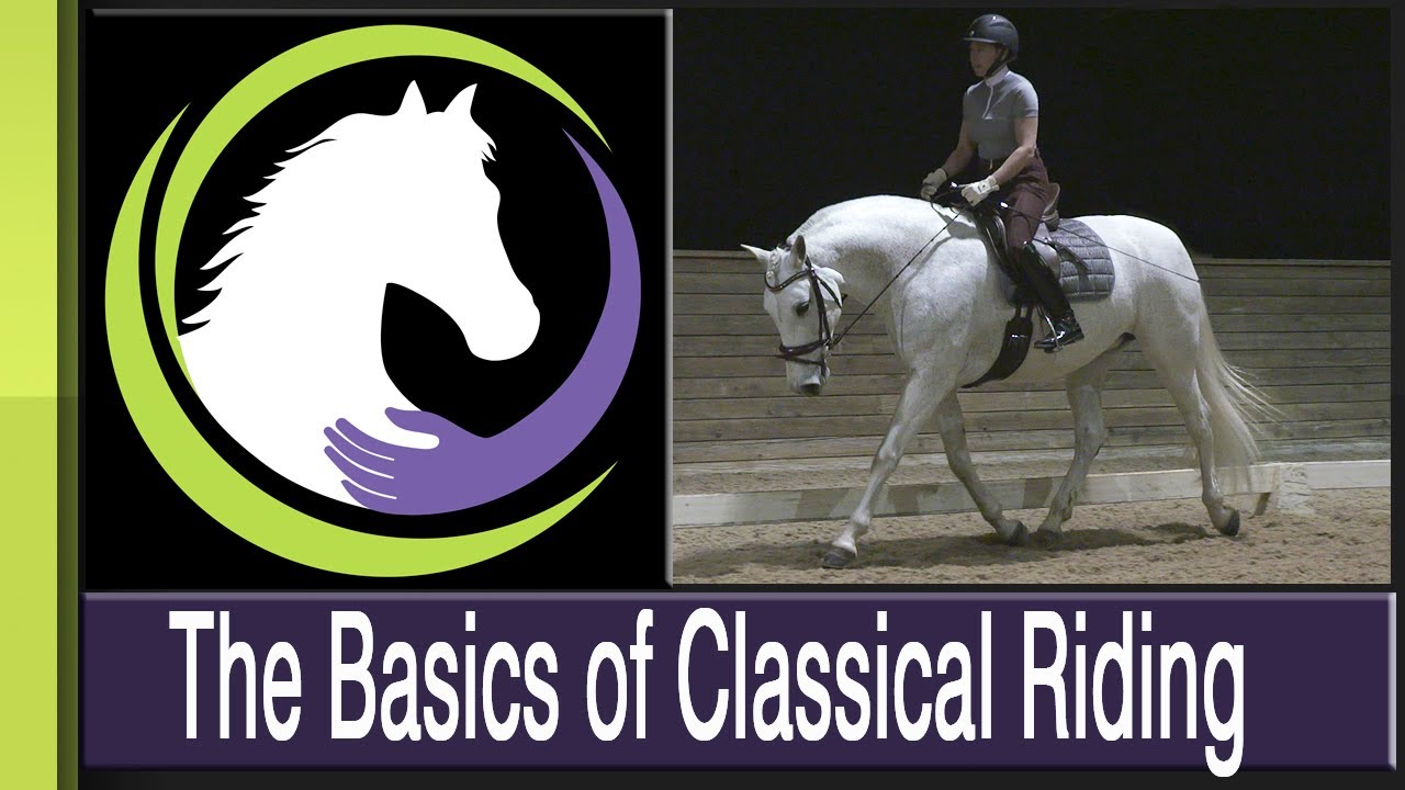 The Basics Of Classical Riding Achieving Balance Through Rhythm