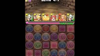 パズドラ「超メタドラ降臨！」薔薇戦姫・グレイスヴァルキリー回復タイプPTノーコン攻略