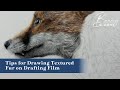 Tips for Drawing Textured Fur on Drafting Film | Top Tips