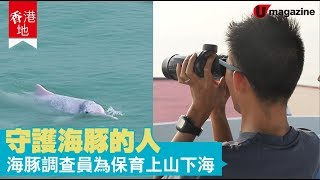 【#香港地】白海豚的守護者