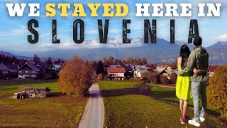 BEST STAY in European countryside | Slovenia travel guide | Lake Bohinj | Plan your Europe trip