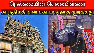 நெல்லையின் செல்லப்பிள்ளை காந்திமதி இறைவனடி சேர்ந்தார் | #nellaiappar | #tirunelveli