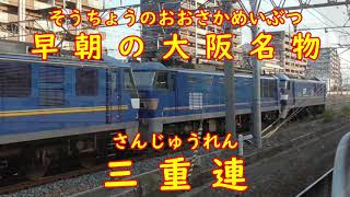 【早朝の大阪名物】単機三重連！（EF210-300形＋EF510-500形＋EF210-300形）