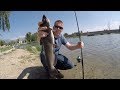 How to catch catfish in a pond - Bank fishing for catfish in a city pond