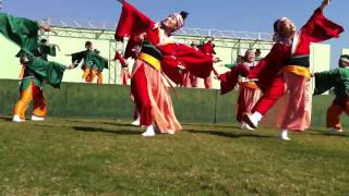 2012 やまもと爽郷祭り【高松よさこい連】