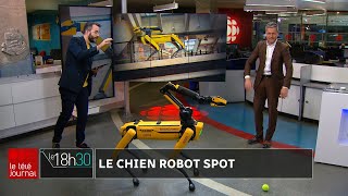 Le chien-robot Spot arrive au Québec grâce à Osedea