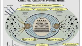 Developing Multidisciplinary Teams for Real-time Research and Innovation