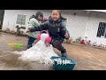 终于下雪了，女儿第一次推雪人，没想到竟然成功了！【农村小英子】