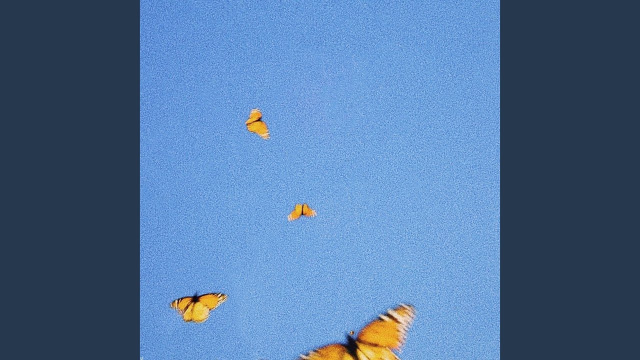 Butterflies Youtube Butterflies Youtube