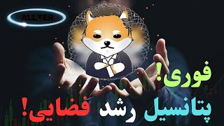 دوج ایلان مارس،تحلیل فوری با پتانسیل رشد فضایی🚀