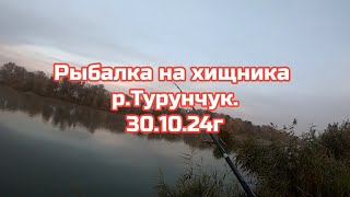 ЖЕРЕХ Рыбалка на Хищника на р.Турунчук  30.10.2024г.