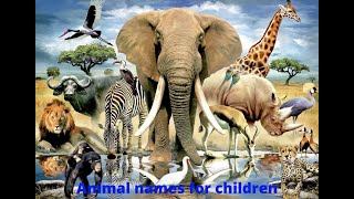 ANIMAL NAMES for Kids - Learn Animal Names for Children & Toddlers