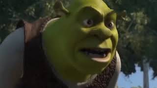 Dominick The Donkey But Shrek says Donkey