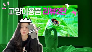 [고양이 VLOG] 고양이 용품 추천 리뷰 2탄 (오브바이포 캣폴, 물그릇, 종이 캣타워, 룩컷 발톱깎이)