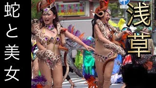 蛇と美女  浅草サンバカーニバル2019   SAMBA CARNIVAL (サンバカーニバル)　ASKS-TOKYO/JAPAN