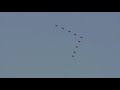 british salute royal air force s red arrows buzz over golden gate bridge