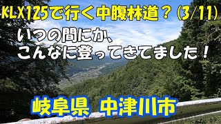 【散歩】KLX125で行く 岐阜県 中津川市 中腹林道 (3/11)