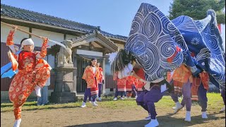 高岡市 戸出西部金屋下村獅子舞  宮参り 西保神社 2024 Toidenishibukanaya shimomura Lion Dance