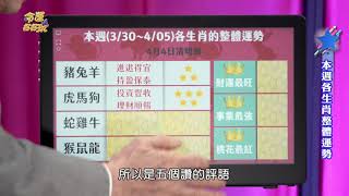 【命運好好玩】2021/3/30~4/05  十二生肖整體運勢