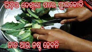 ଭିଡ଼ିଓକୁ ଥରେ ଦେଖିଲେ କୋବିନାଡ଼କୁ ଆଉ କେବେ ଫୋପାଡ଼ିବେନି |ଫୁଲକୋବି ନାଡ ରେସିପି ଓଡ଼ିଆ