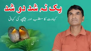 yak na shud ka matlab || یک نہ شد کا مطلب کیا ہے || کہاوت کے پیچھے کی کہانی