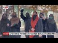 Taliban ban women from completing higher education degree