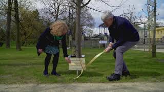 Tree Planting at Wilanów Palace Gardens, Warsaw